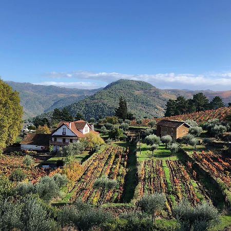 Quinta Vila Rachel - Winery Sao Mamede de Ribatua Exteriör bild