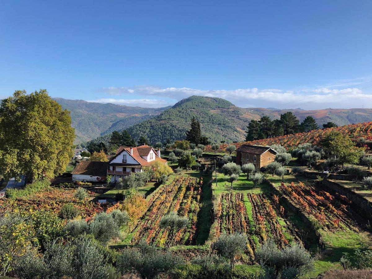 Quinta Vila Rachel - Winery Sao Mamede de Ribatua Exteriör bild