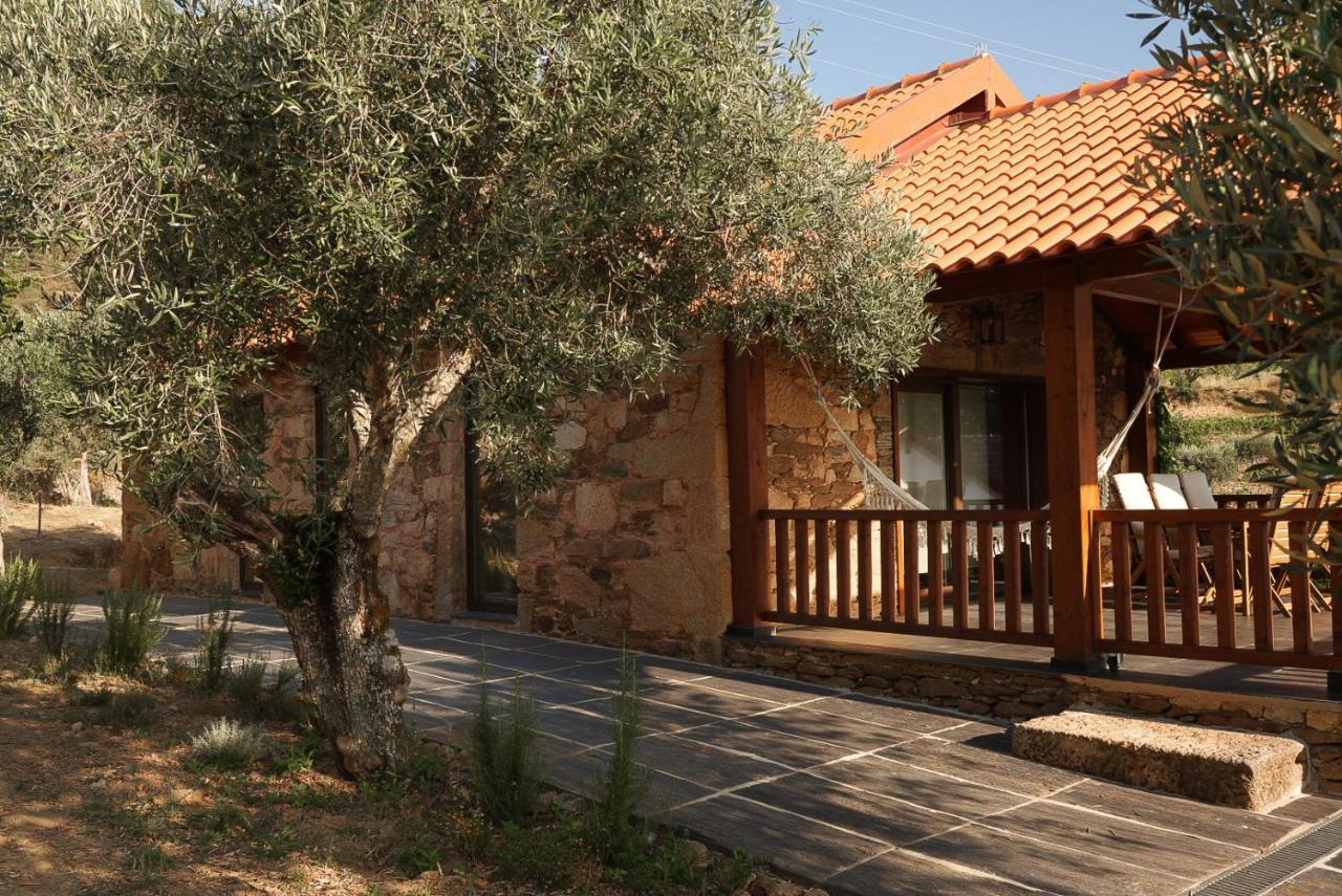 Quinta Vila Rachel - Winery Sao Mamede de Ribatua Exteriör bild