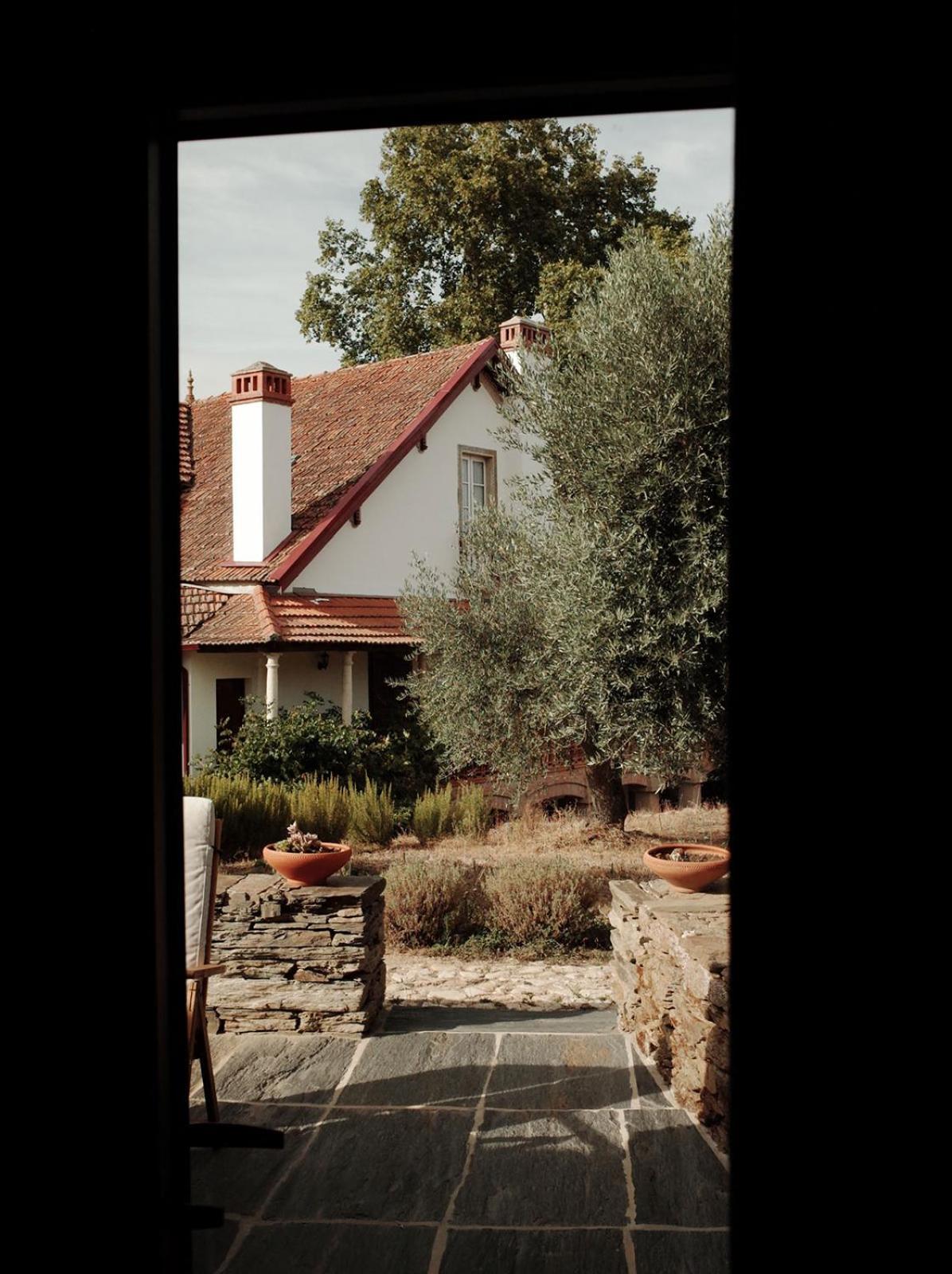 Quinta Vila Rachel - Winery Sao Mamede de Ribatua Exteriör bild